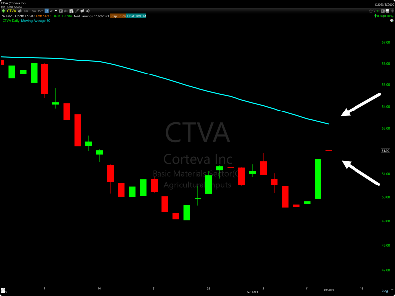 TC2000 bearish pin bar reversal candlestick scan example