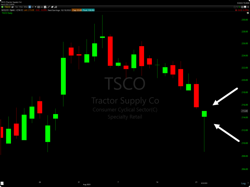 TC2000 Hammer Candlestick Stock Scan Example