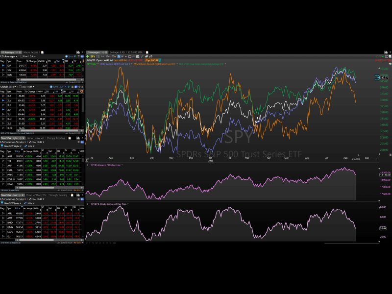 TC2000 Ultimate Swing Trader Layout - Image of primary layout